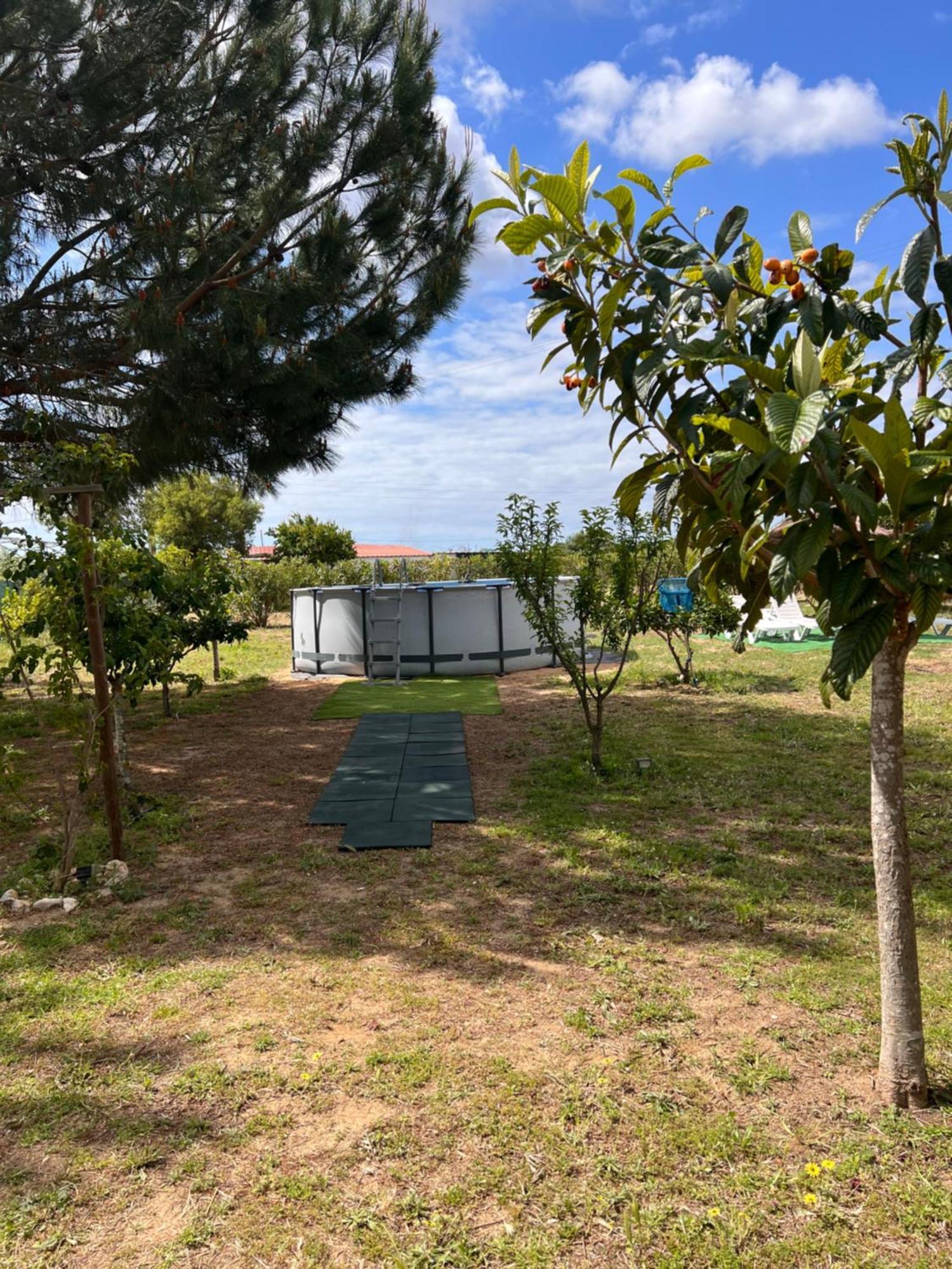 Quinta dos Viegas FAO Exterior foto